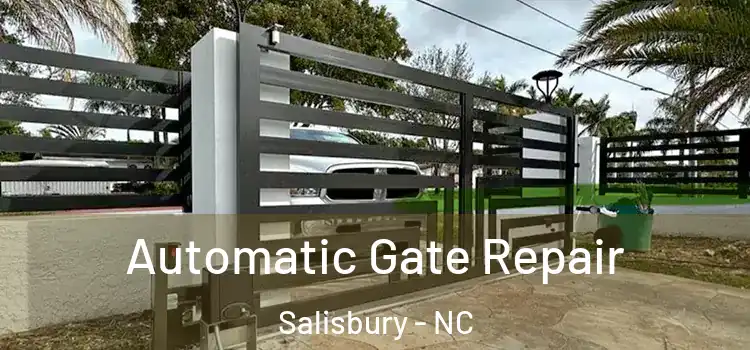  Automatic Gate Repair Salisbury - NC