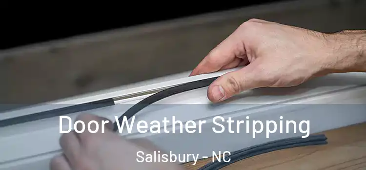Door Weather Stripping Salisbury - NC