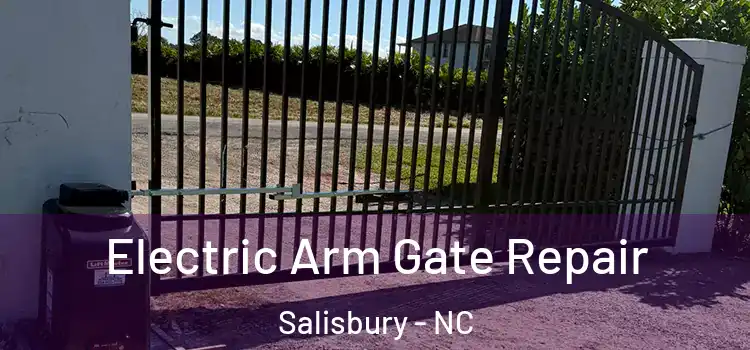 Electric Arm Gate Repair Salisbury - NC