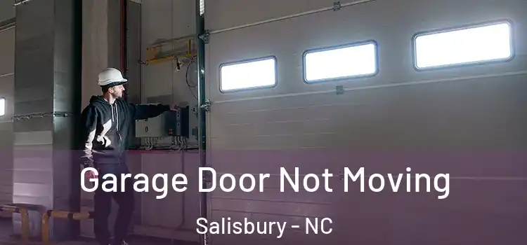  Garage Door Not Moving Salisbury - NC