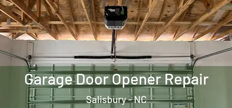  Garage Door Opener Repair Salisbury - NC