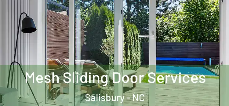 Mesh Sliding Door Services Salisbury - NC