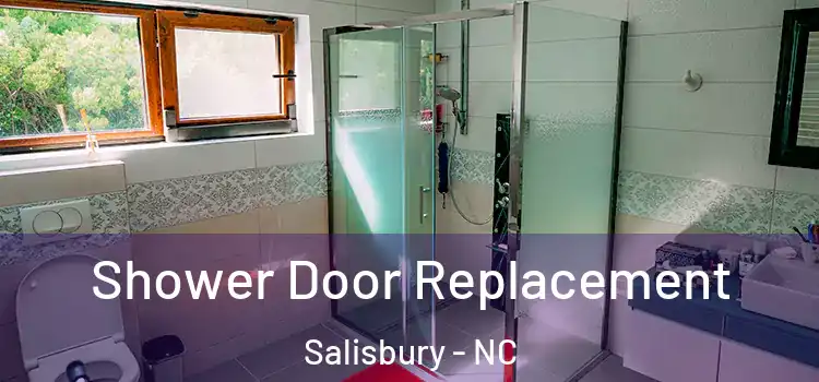  Shower Door Replacement Salisbury - NC