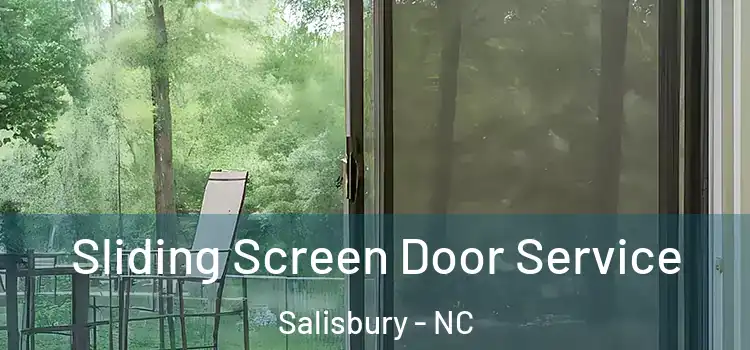 Sliding Screen Door Service Salisbury - NC